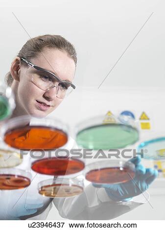 Stock Photo - Microbiology research. Fotosearch