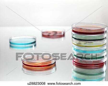Microbiology research View Large Photo Image Stock Photo - Microbiology research. Fotosearch