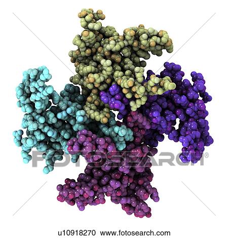 Mitochondrial RNA binding proteins View Large Photo Image Stock Image - Mitochondrial RNA binding proteins. Fotosearch