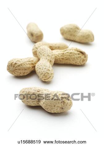 Monkey nuts View Large Photo Image Stock Photo - Monkey nuts. Fotosearch
