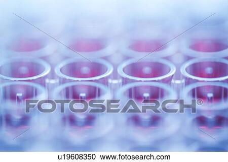 Multiwell sample tray View Large Photo Image Stock Image - Multiwell sample tray. Fotosearch