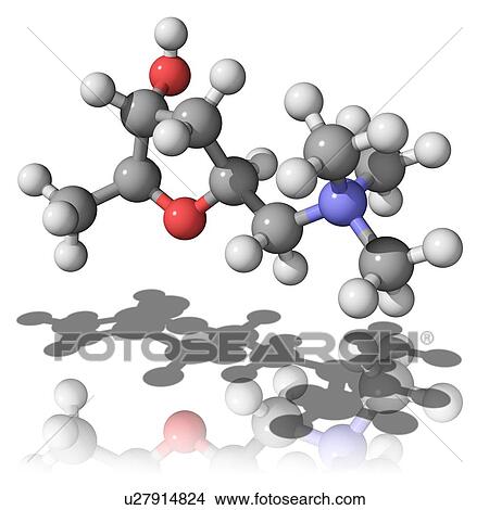 Picture - Muscarine molecule. Fotosearch