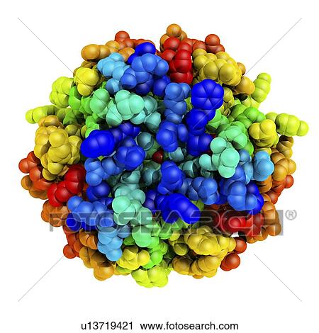 Mutant insulin, molecular model View Large Photo Image Stock Image - Mutant insulin, molecular model. Fotosearch