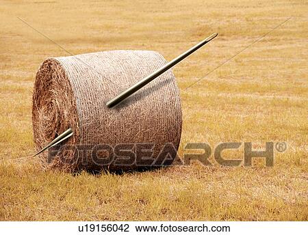 Needle in a haystack, conceptual artwork View Large Photo Image Stock Image - Needle in a haystack, conceptual artwork. Fotosearch