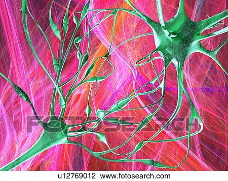 Nerve synapses, artwork View Large Photo Image Stock Image - Nerve synapses, artwork. Fotosearch