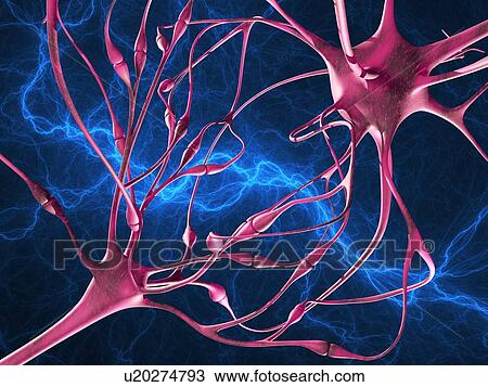 Nerve synapses, artwork View Large Photo Image Stock Image - Nerve synapses, artwork. Fotosearch