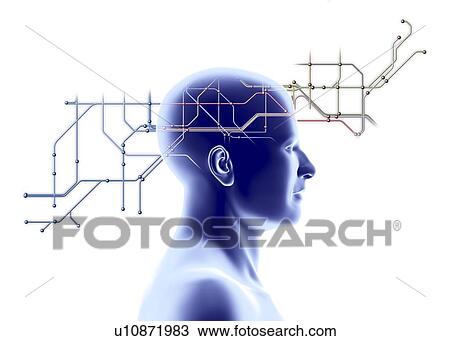 Network diagram and head View Large Photo Image Stock Image - Network diagram and head. Fotosearch