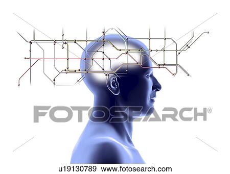 Stock Photo - Network diagram and head. Fotosearch