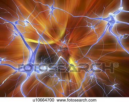 Stock Image - Neural network, computer artwork. Fotosearch