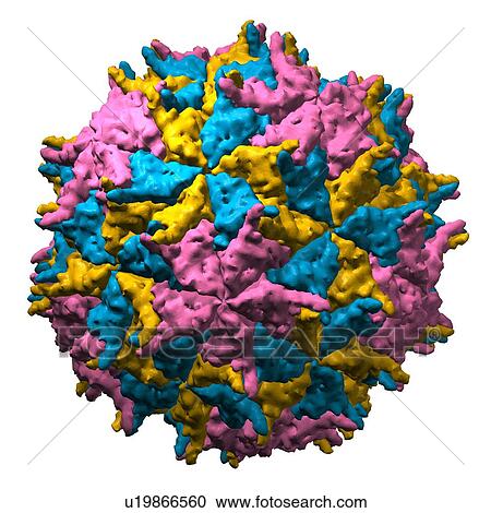 Nodamura virus particle, molecular model View Large Photo Image Stock Image - Nodamura virus particle, molecular model. Fotosearch