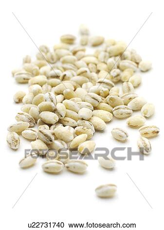 Pearl barley View Large Photo Image Stock Image - Pearl barley. Fotosearch