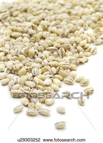 Pearl barley View Large Photo Image Stock Image - Pearl barley. Fotosearch