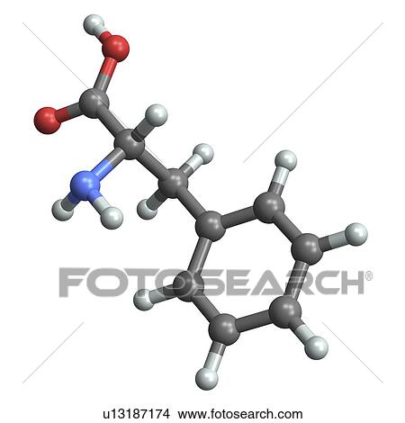 Phenylalanine, molecular model View Large Photo Image Picture - Phenylalanine, molecular model. Fotosearch