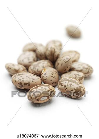 Stock Photo - Pinto beans. Fotosearch