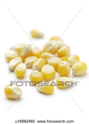 Stock Image - Popping corn. Fotosearch