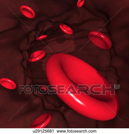 Stock Image - Red blood cells, artwork. Fotosearch
