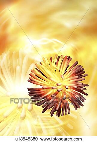 Stock Image - Retrovirus particle, artwork. Fotosearch