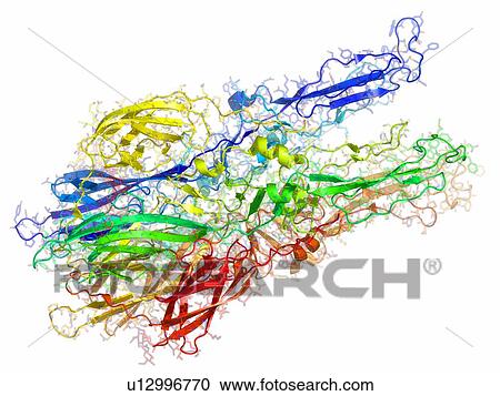 Stock Image - Semliki forest virus fusion protein. Fotosearch
