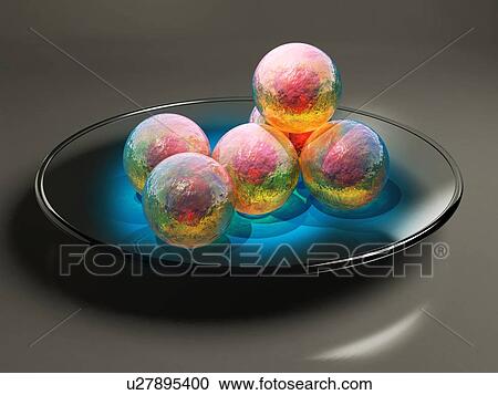 Stock Image - Stem cell research, conceptual artwork. Fotosearch