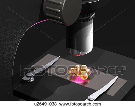 Stem cell research, conceptual artwork View Large Photo Image Stock Photo - Stem cell research, conceptual artwork. Fotosearch