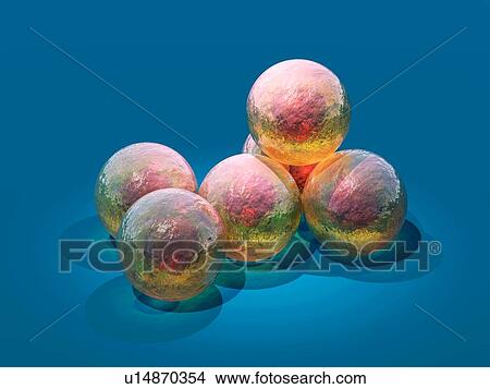 Stem cells, conceptual artwork View Large Photo Image Picture - Stem cells, conceptual artwork. Fotosearch