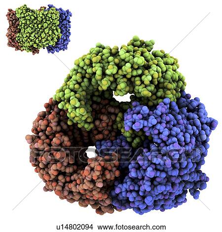 Sucrose-specific porin molecule View Large Photo Image Picture - Sucrose-specific porin molecule. Fotosearch