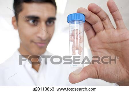 Stock Image - Test tube baby, conceptual image. Fotosearch