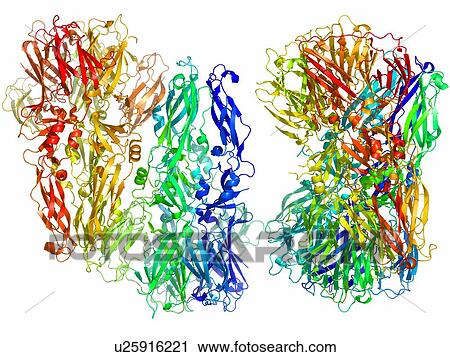 Stock Image - Tick-borne encephalitis virus protein. Fotosearch