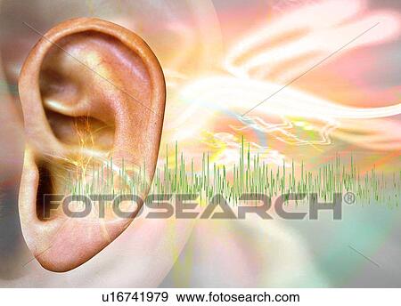 Tinnitus, conceptual artwork View Large Photo Image Stock Photo - Tinnitus, conceptual artwork. Fotosearch