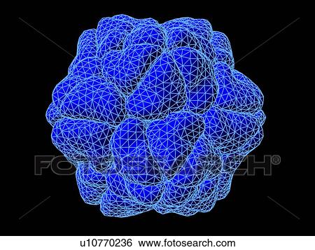 Tobacco necrosis virus, molecular model View Large Photo Image Stock Photograph - Tobacco necrosis virus, molecular model. Fotosearch