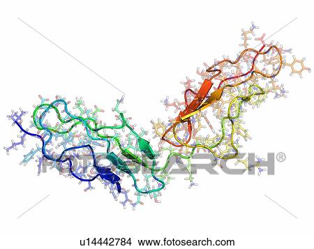 Picture - Vaccinia virus complement control protein. Fotosearch