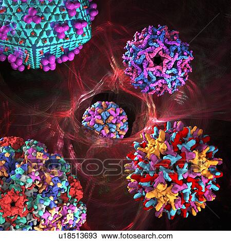 Stock Image - Viral infection, conceptual artwork. Fotosearch