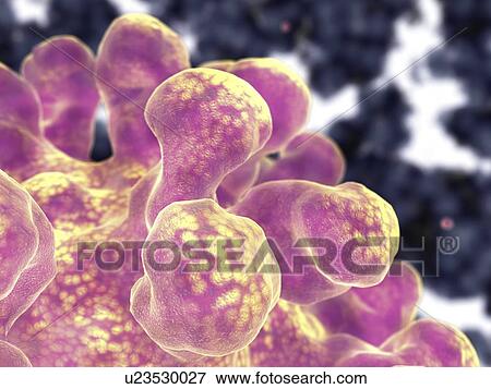 Stock Photo - Virus, artwork. Fotosearch