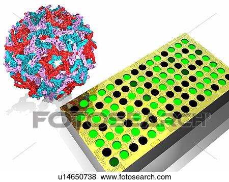 Stock Photo - Virus research, artwork. Fotosearch