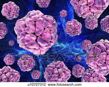 Virus research, conceptual artwork View Large Photo Image Stock Image - Virus research, conceptual artwork. Fotosearch