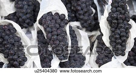Bunches of grapes, Busan, Yeongnam, South Korea View Large Photo Image Stock Image - Bunches of grapes, Busan, Yeongnam, South Korea. Fotosearch