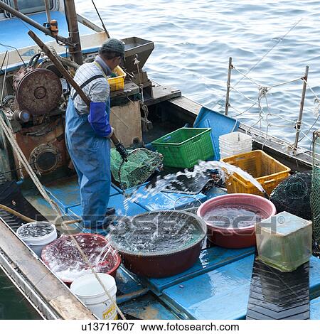 Stock Photo - Caught fish being washed on a boat, Busan, Yeongnam, South Korea. Fotosearch