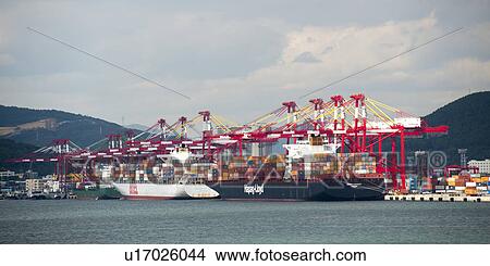 Picture - Container ships at Busan harbor, Busan, Yeongnam, South Korea. Fotosearch