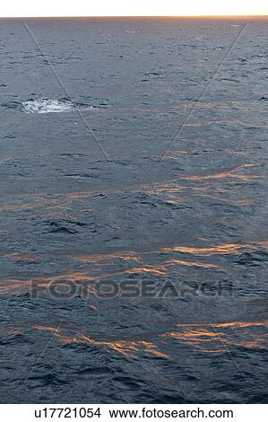 Picture - East China Sea. Fotosearch