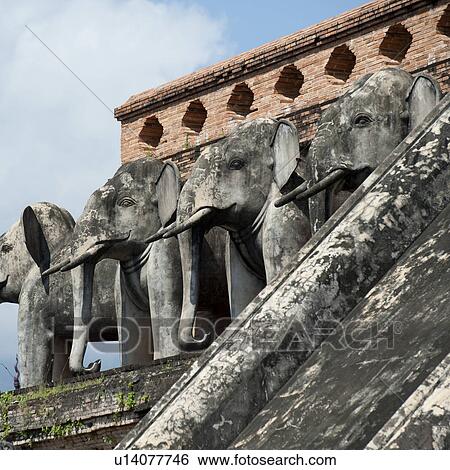 Elephant statues at Wat Chedi Luang, Chiang Mai, Thailand View Large Photo Image Stock Photograph - Elephant statues at Wat Chedi Luang, Chiang Mai, Thailand. Fotosearch