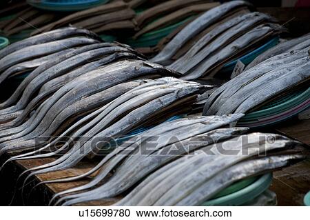 Fish at a stall in a fish market, Busan, Yeongnam, South Korea View Large Photo Image Stock Image - Fish at a stall in a fish market, Busan, Yeongnam, South Korea. Fotosearch