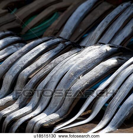 Fish at a stall in a fish market, Busan, Yeongnam, South Korea View Large Photo Image Stock Image - Fish at a stall in a fish market, Busan, Yeongnam, South Korea. Fotosearch