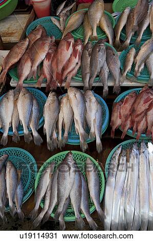Stock Image - Fish at a stall in a fish market, Busan, Yeongnam, South Korea. Fotosearch