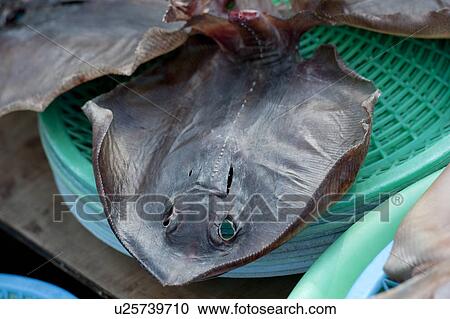 Stock Image - Fish at a stall in a fish market, Busan, Yeongnam, South Korea. Fotosearch