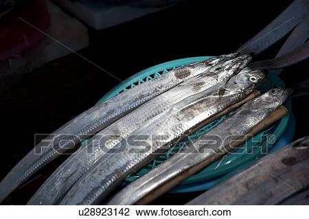 Fish at a stall in a fish market, Busan, Yeongnam, South Korea View Large Photo Image Stock Image - Fish at a stall in a fish market, Busan, Yeongnam, South Korea. Fotosearch