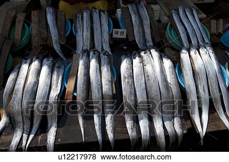 Stock Photo - Fish at a stall in a fish market, Busan, Yeongnam, South Korea. Fotosearch