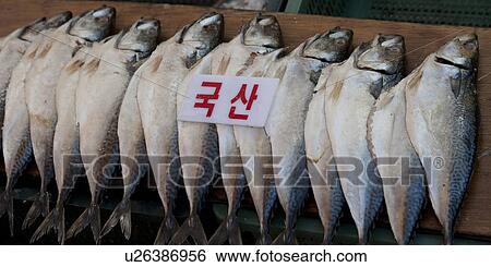 Stock Photograph - Fish at a stall in a fish market, Busan, Yeongnam, South Korea. Fotosearch