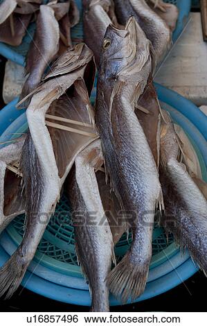 Stock Photograph - Fish drying at a market stall, Busan, Yeongnam, South Korea. Fotosearch
