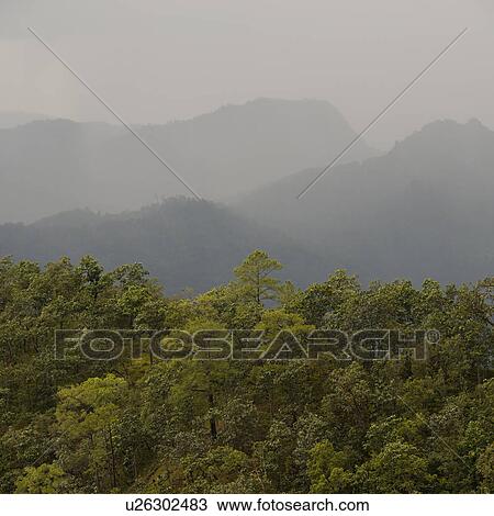 Forest with a mountain range in the background, Thailand View Large Photo Image Stock Image - Forest with a mountain range in the background, Thailand. Fotosearch