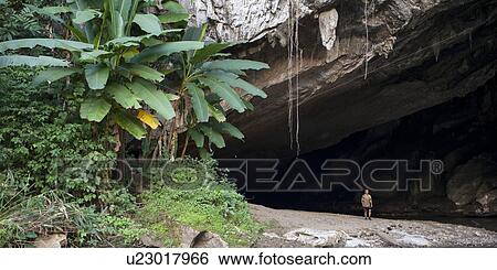 Man standing outside a cave, Thailand View Large Photo Image Stock Photograph - Man standing outside a cave, Thailand. Fotosearch